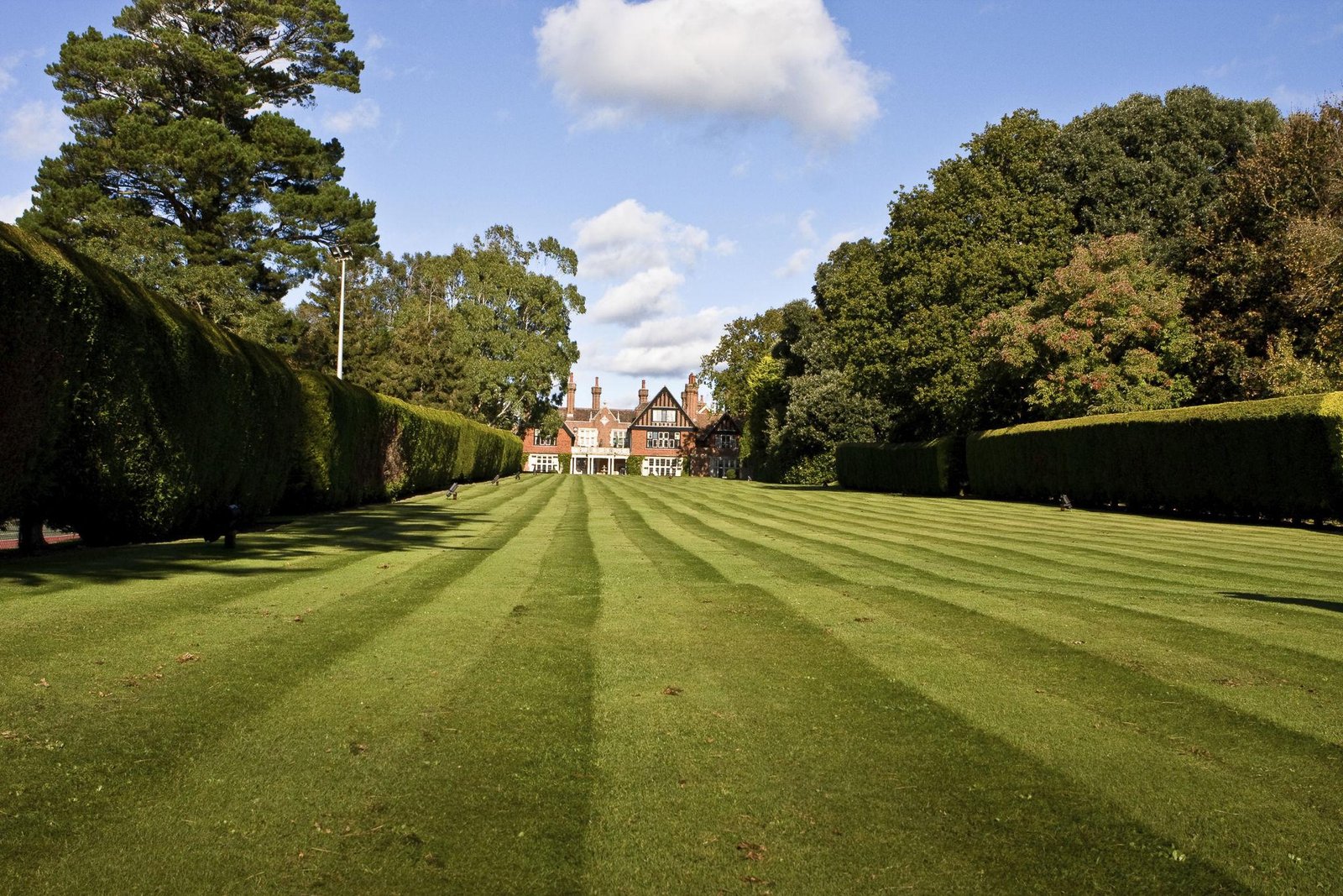 Why American Lawns Became Popular