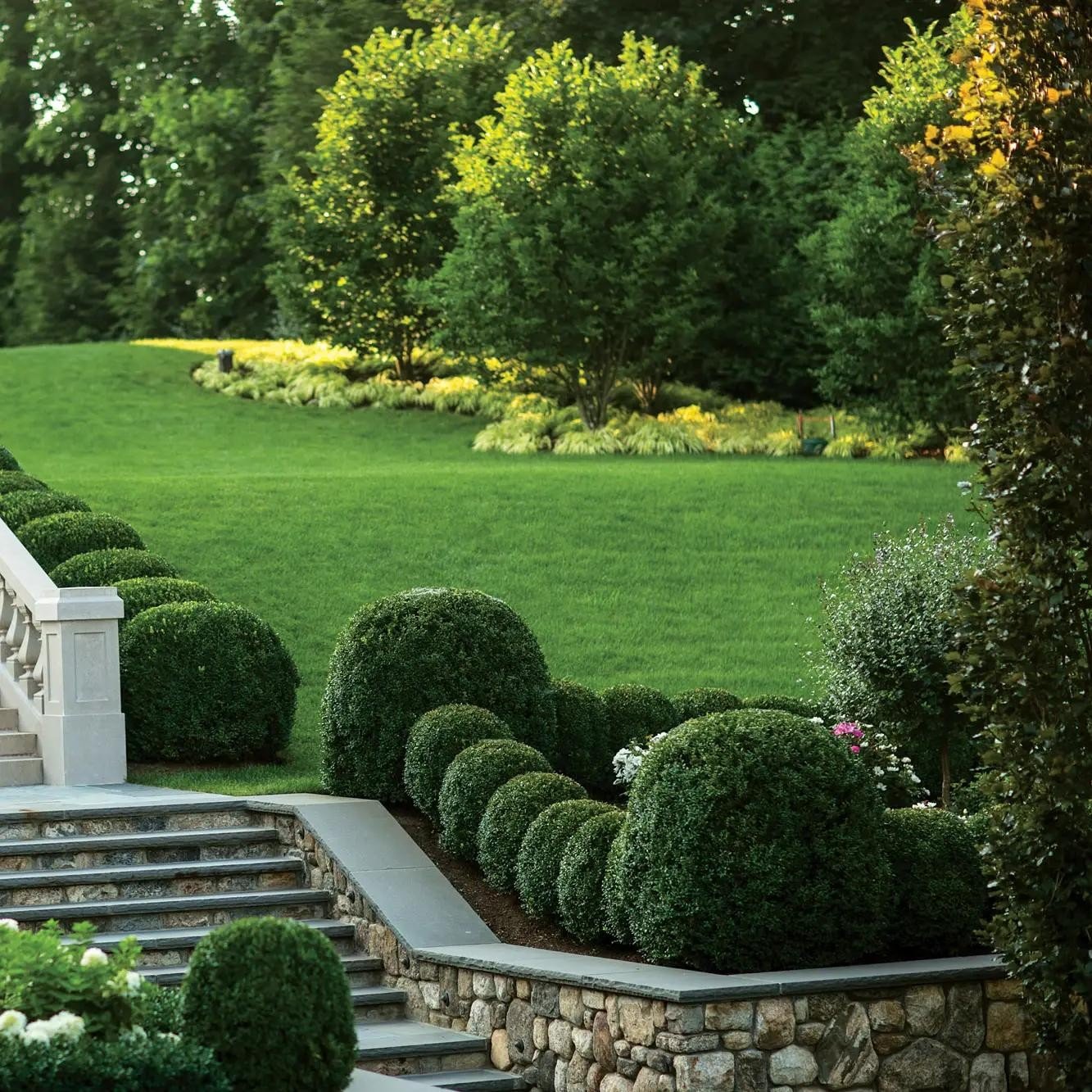 American suburban home with a green front lawn