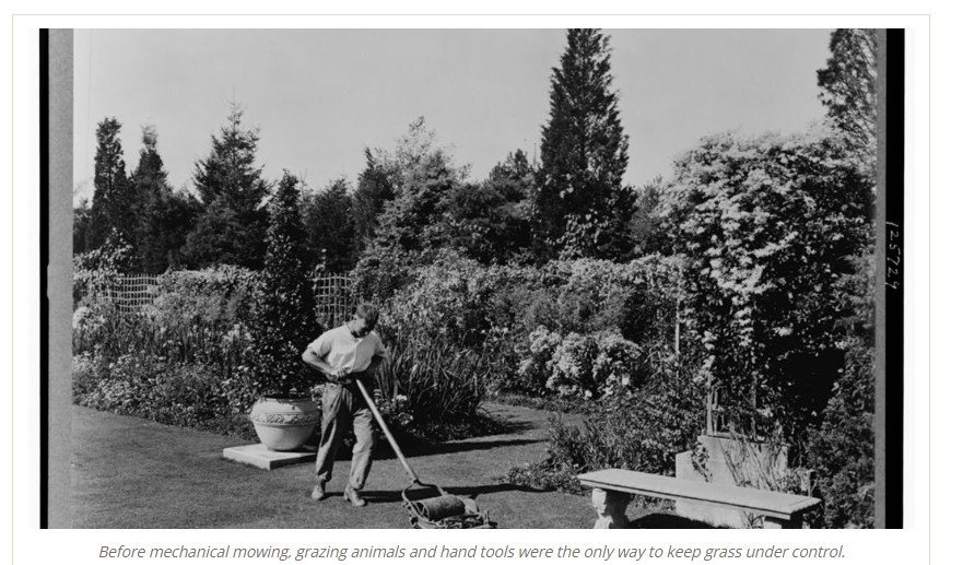 Early twentieth-century gardener pushing a reel mower