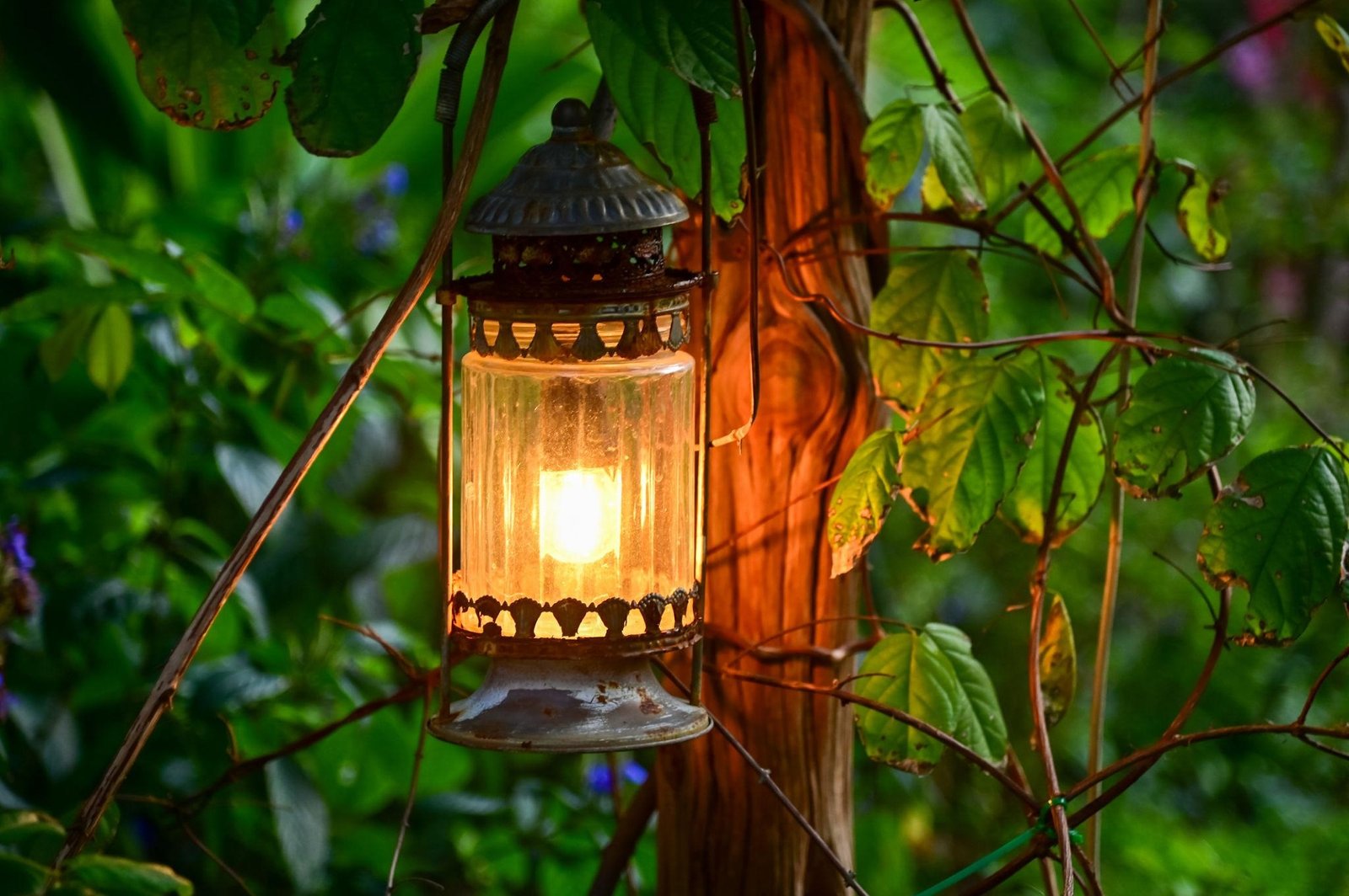Backyard evening gathering with warm patio lighting