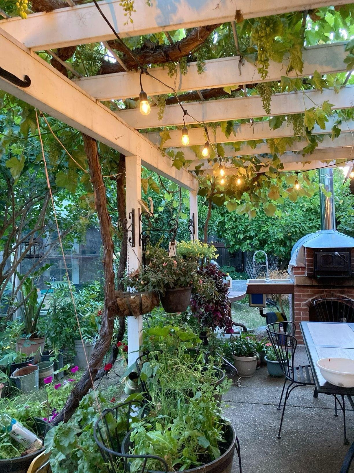 Rustic pergola covered in grapevines with string lights, hanging plants, and outdoor seating