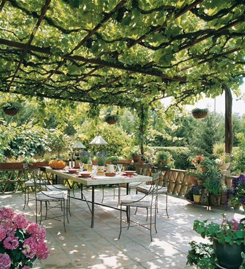 Lush Mediterranean terrace with grapevine pergola over a set dining table surrounded by flowers