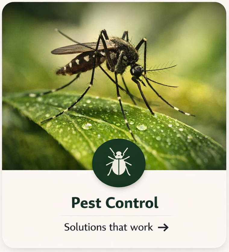 Pest Control