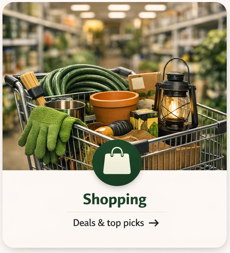 Shopping