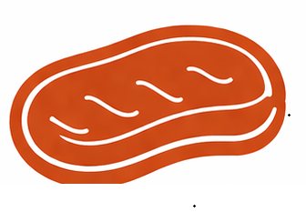Grilling icon