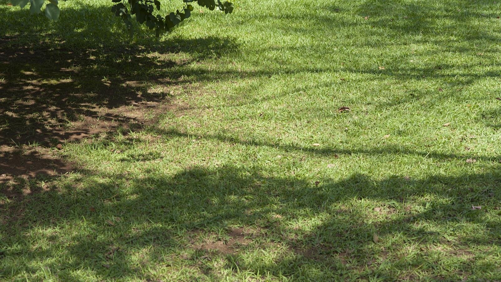 Uneven Growth