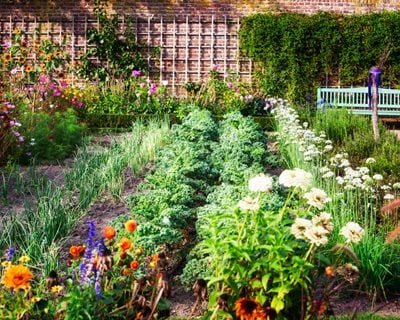 Organic Gardening