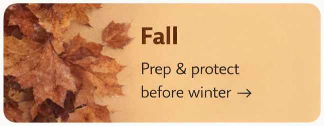Fall