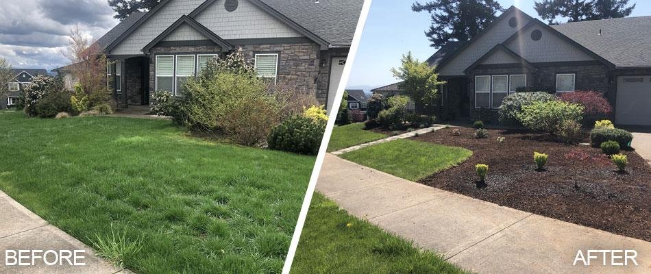 Backyard transformation
