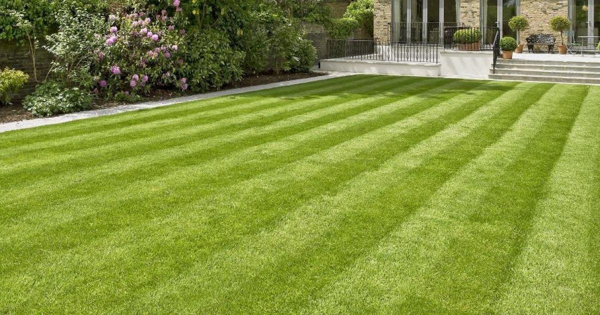 Lawn Care